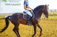 Турнир по конному спорту в честь Дня Победы в Красноярске
