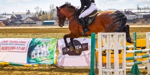 Завершился Турнир по конному спорту в честь Дня Победы в Красноярске